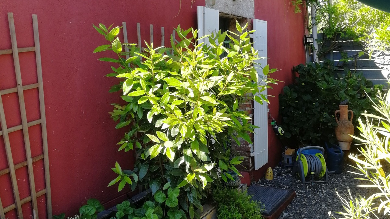 Photo of Outdoor in Saint-Denis-la-Chevasse