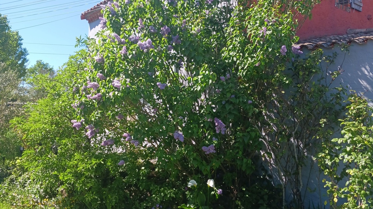 Photo of Outdoor in Saint-Denis-la-Chevasse