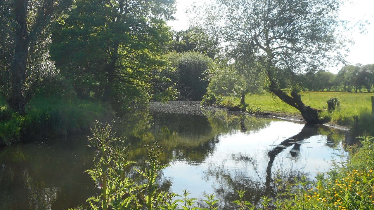 Photo of Outdoor in Bohal
