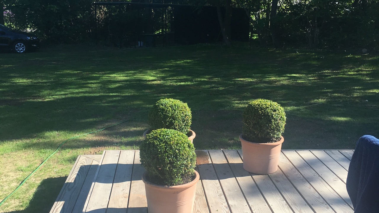 Photo of Outdoor in Dronningmolle