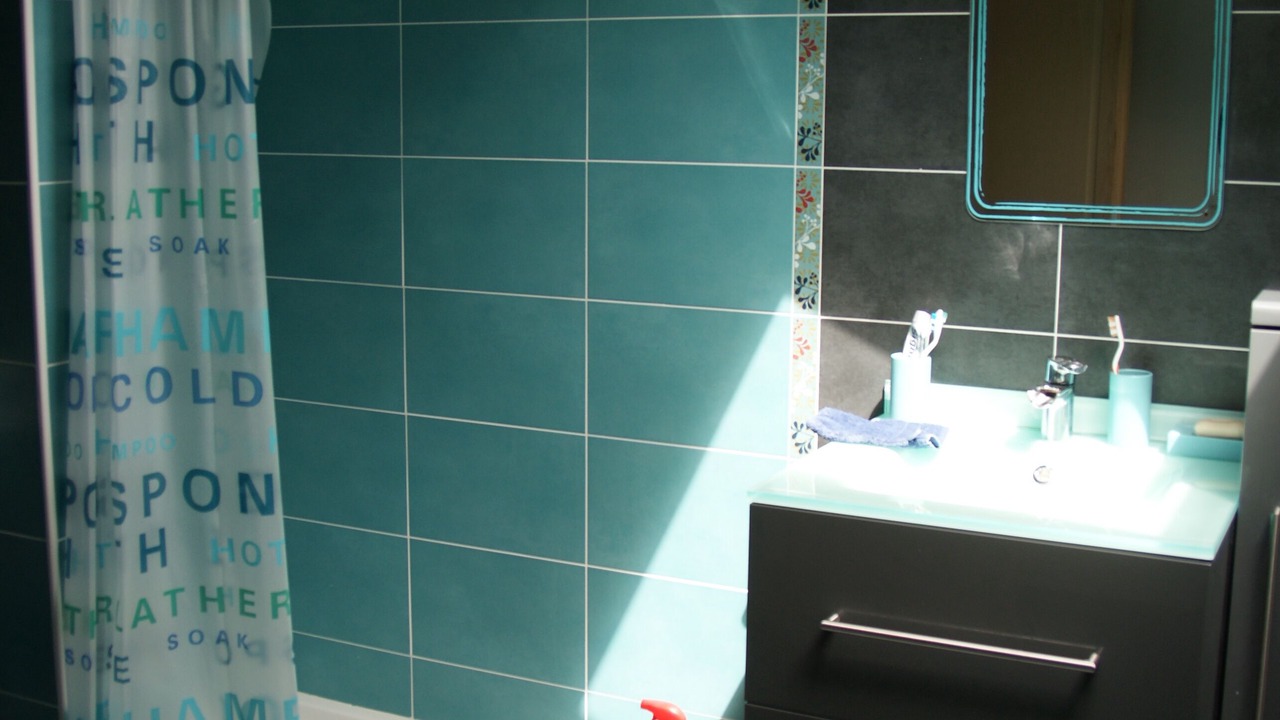Photo of Bathroom in Saint-Vivien