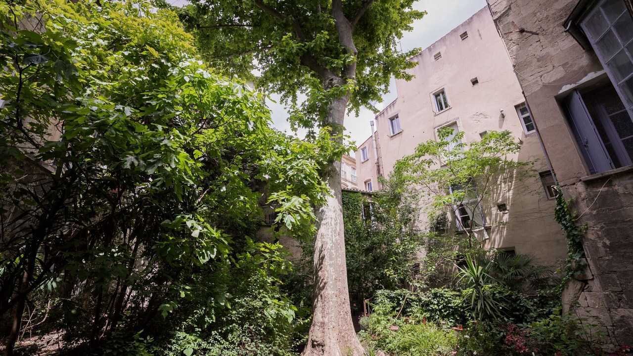 Photo of Outdoor in Montpellier City-Centre