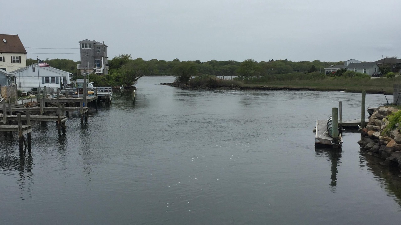 Photo of Others in Snug Harbor