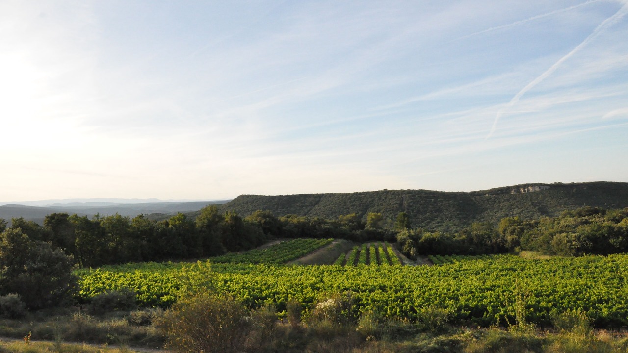 Photo of Outdoor in Saint-Andre-d'Olerargues