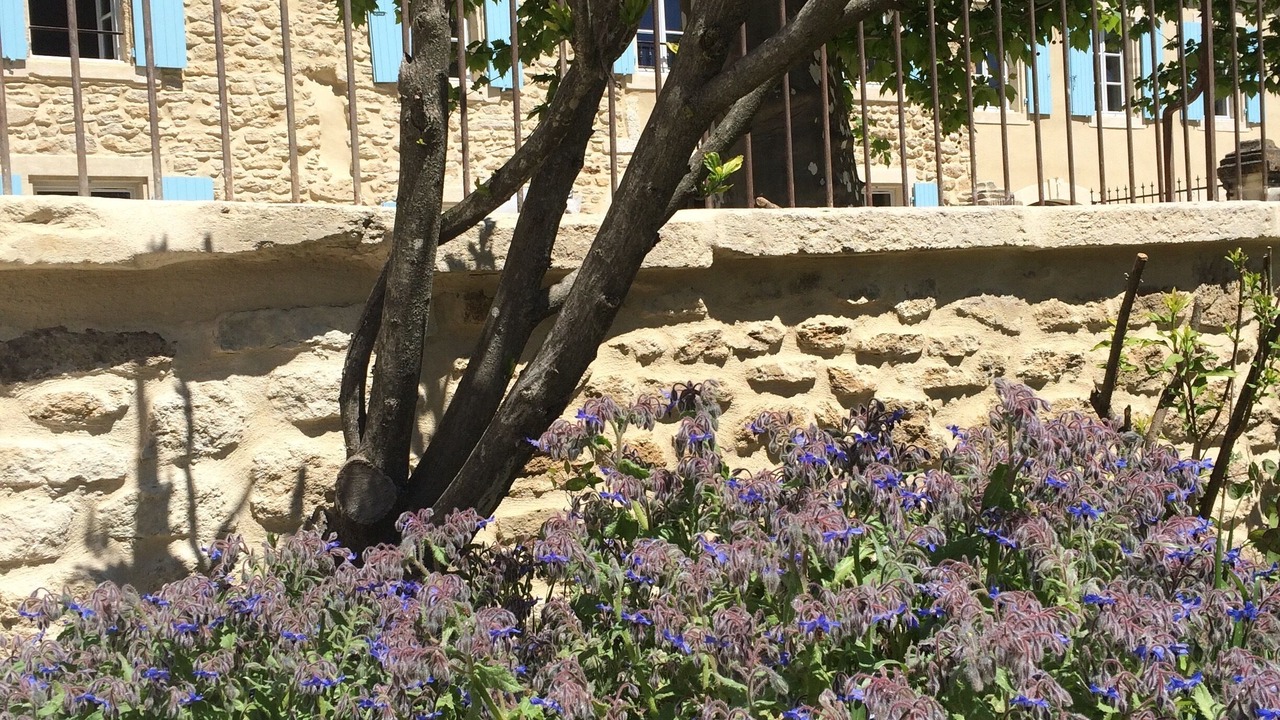 Photo of Outdoor in Colonzelle
