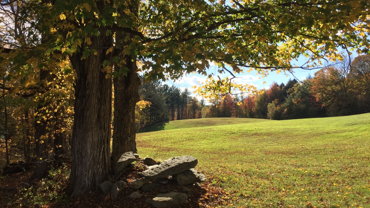 Photo of Others in South Londonderry