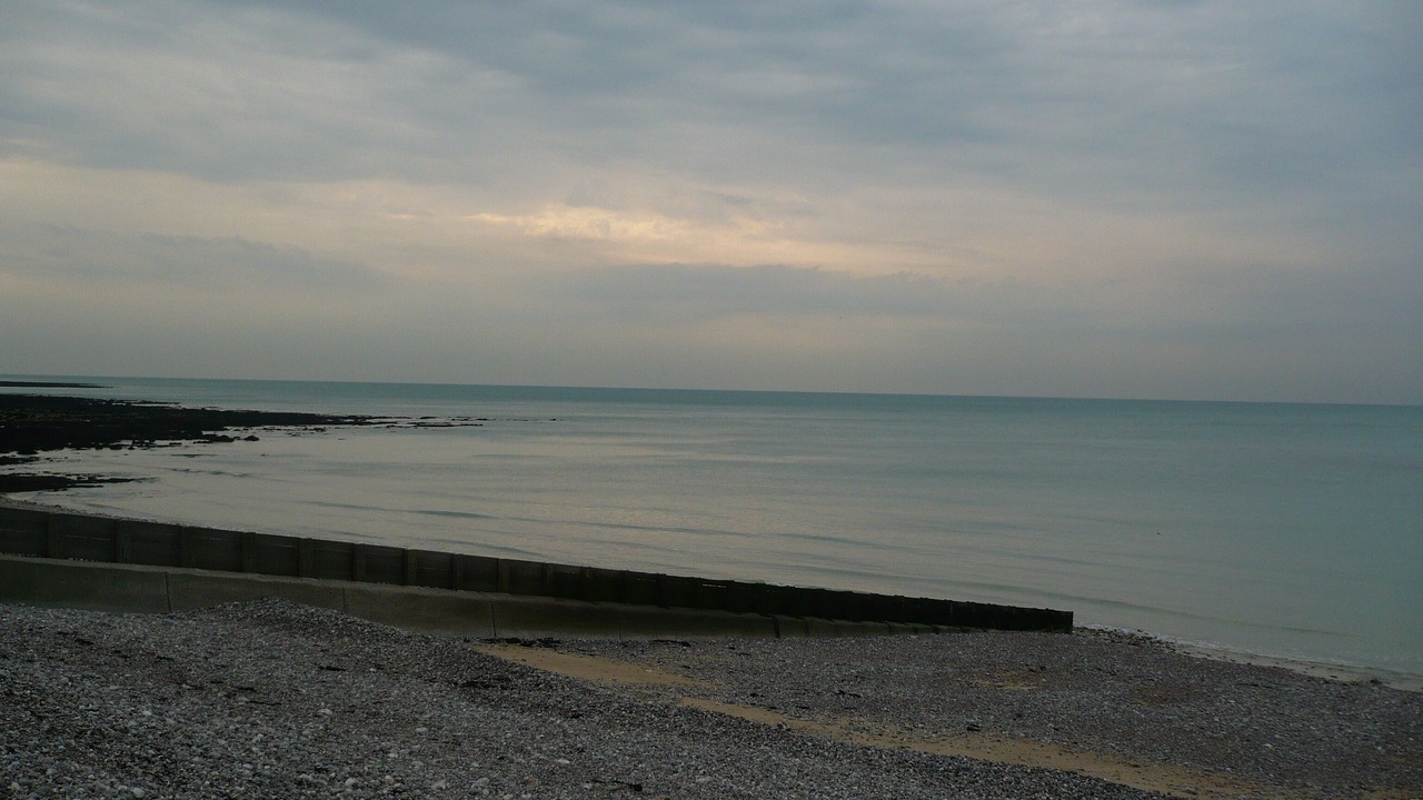Photo of Others in Saint-Martin-aux-Buneaux