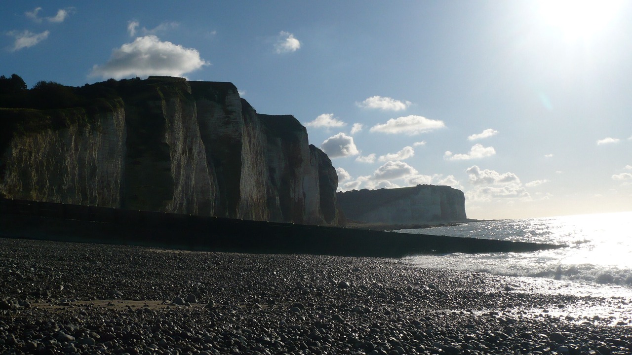 Photo of Others in Saint-Martin-aux-Buneaux