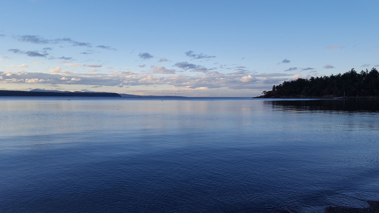 Photo of Others in Eastsound