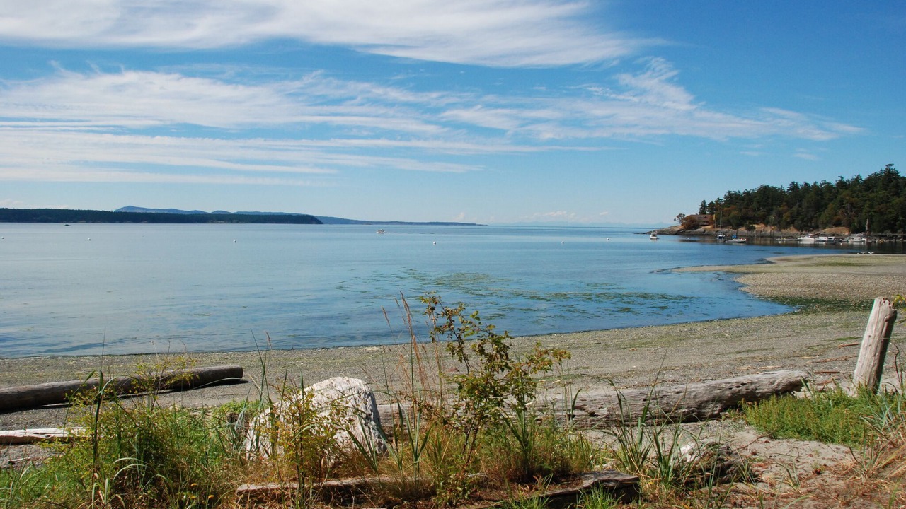 Photo of Others in Eastsound