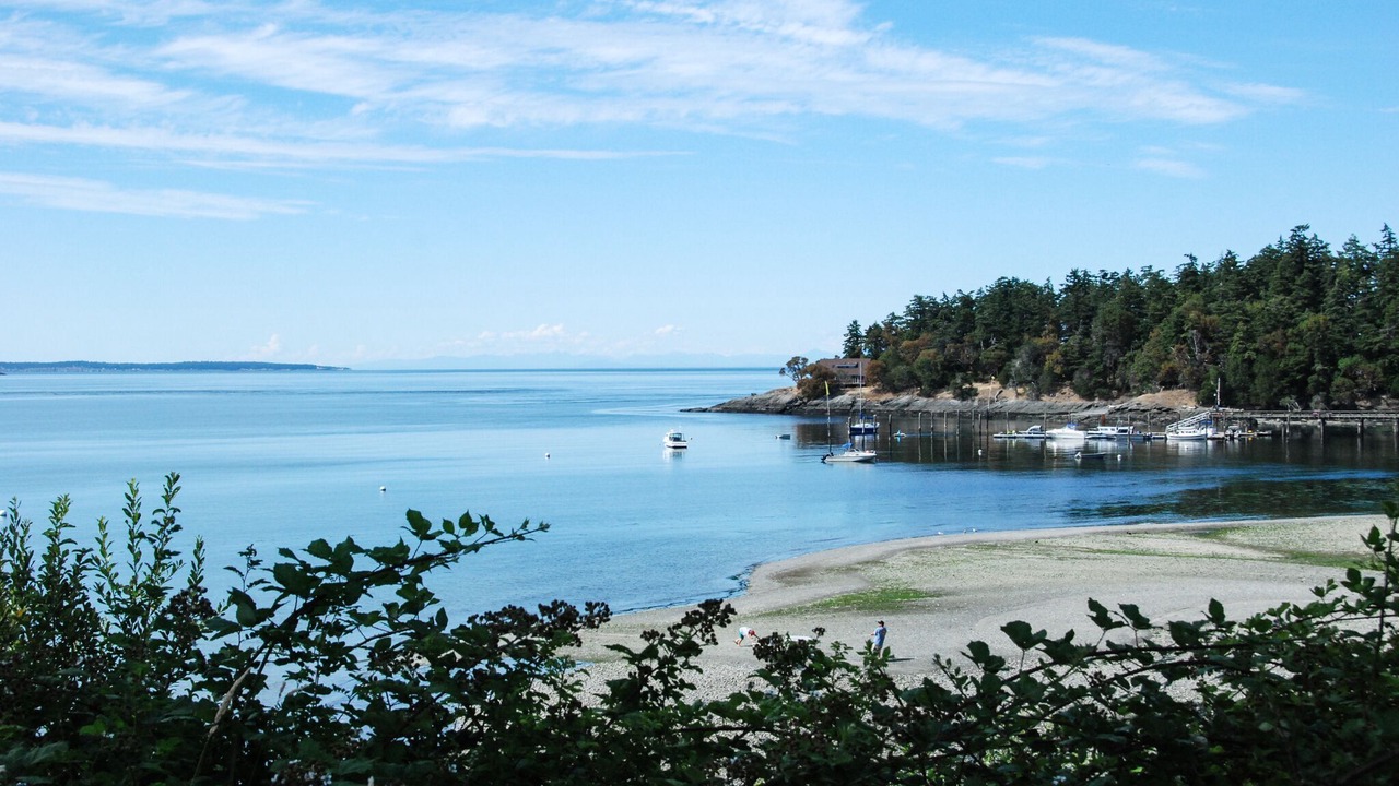 Photo of Others in Eastsound