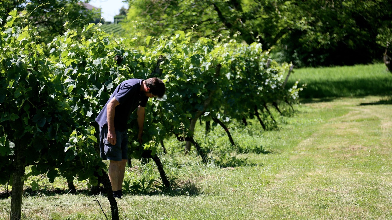 Photo of Outdoor in Saint-Germain-Du-Puch