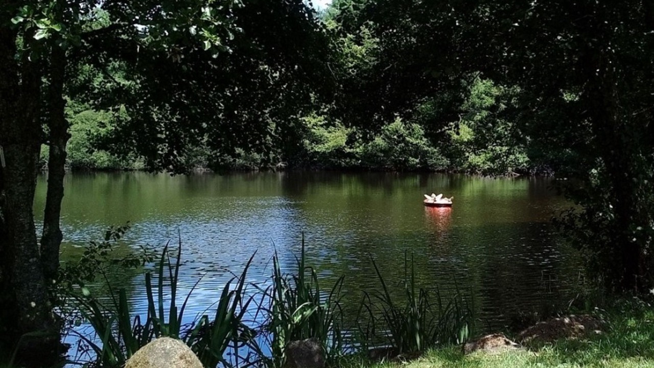 Photo of Outdoor in La Chapelle Montbrandeix
