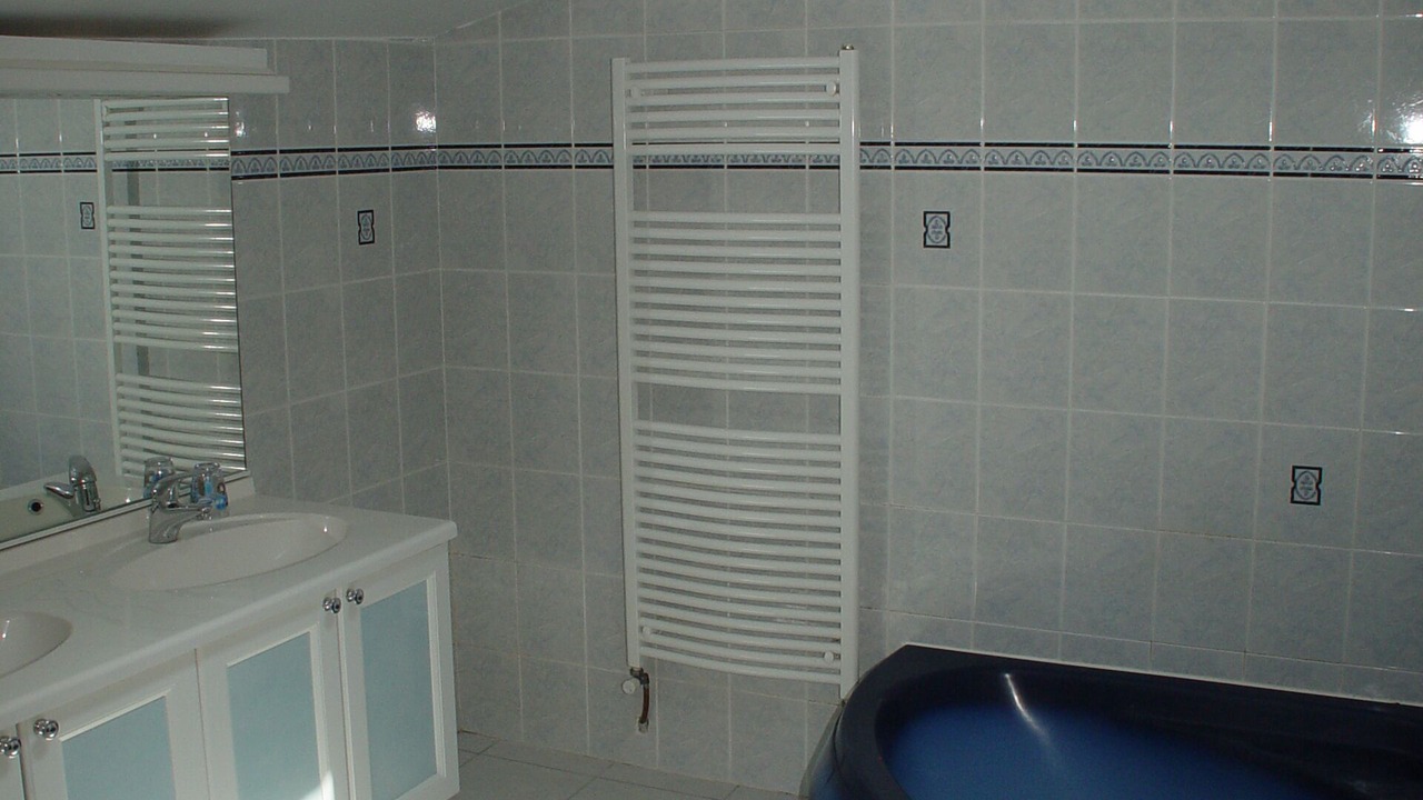 Photo of Bathroom in Saint-Laurent-de-Carnols