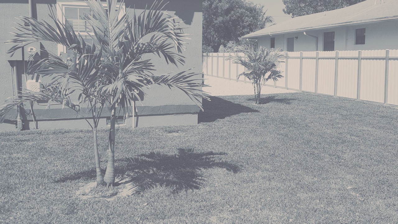 Photo of Outdoor in Delray Beach