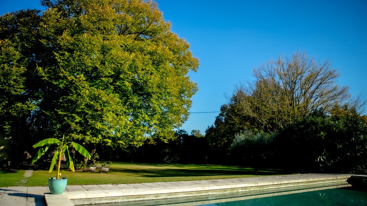 Photo of Outdoor in Jonquieres