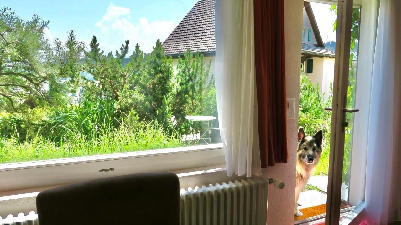 Photo of Others in Wald