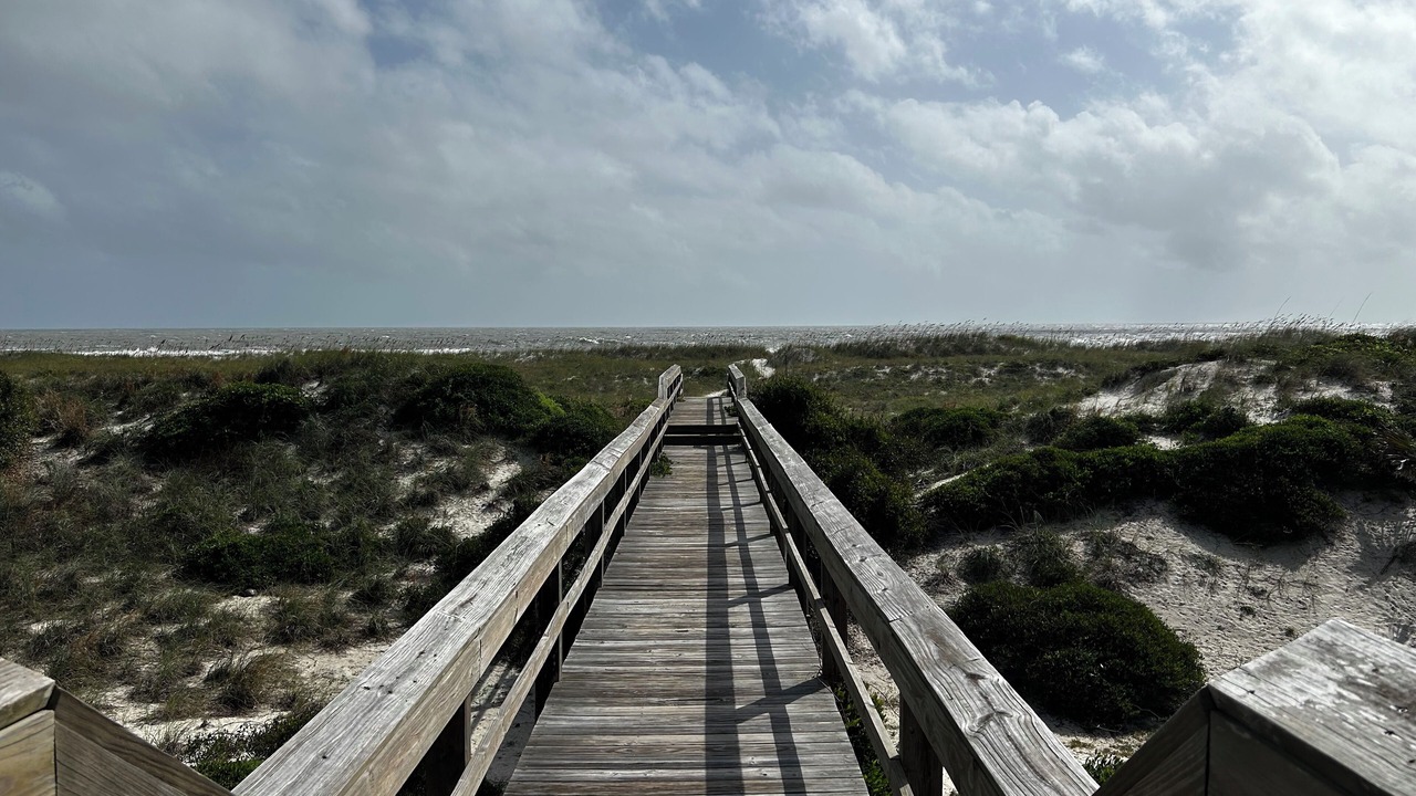 Photo of Outdoor in Fernandina Beach