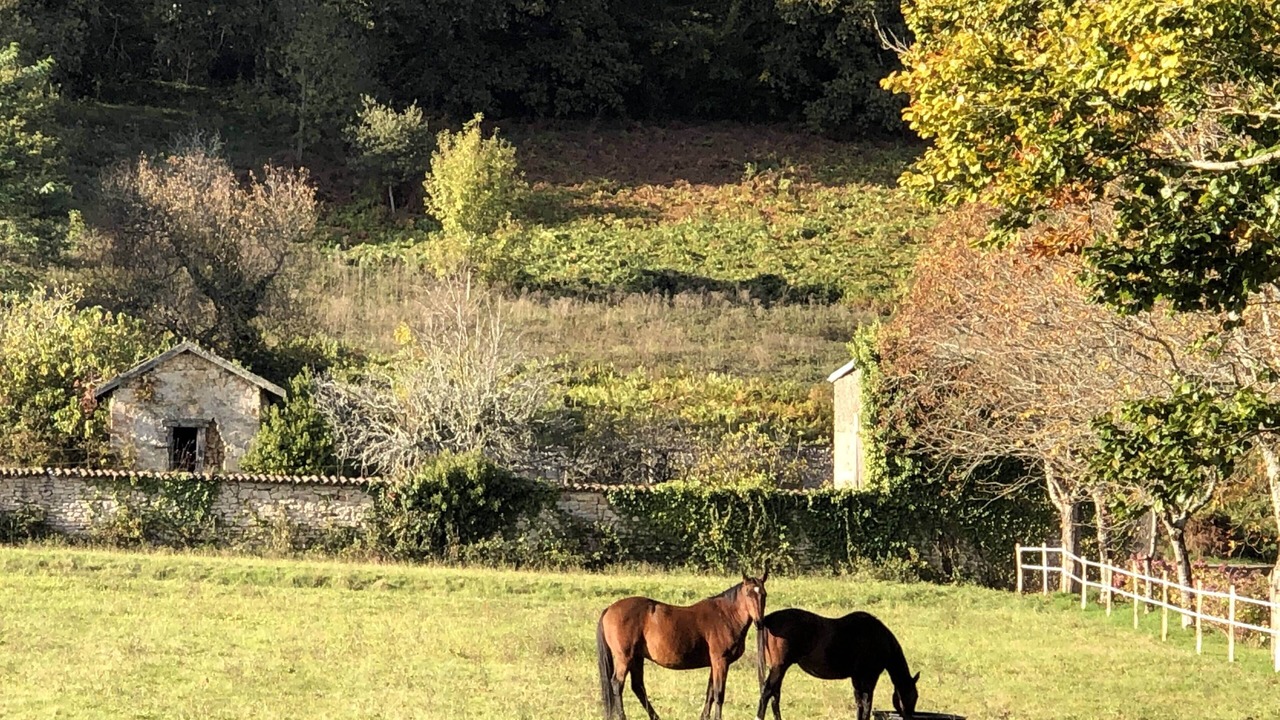 Photo of Others in La Jonchere-Saint-Maurice
