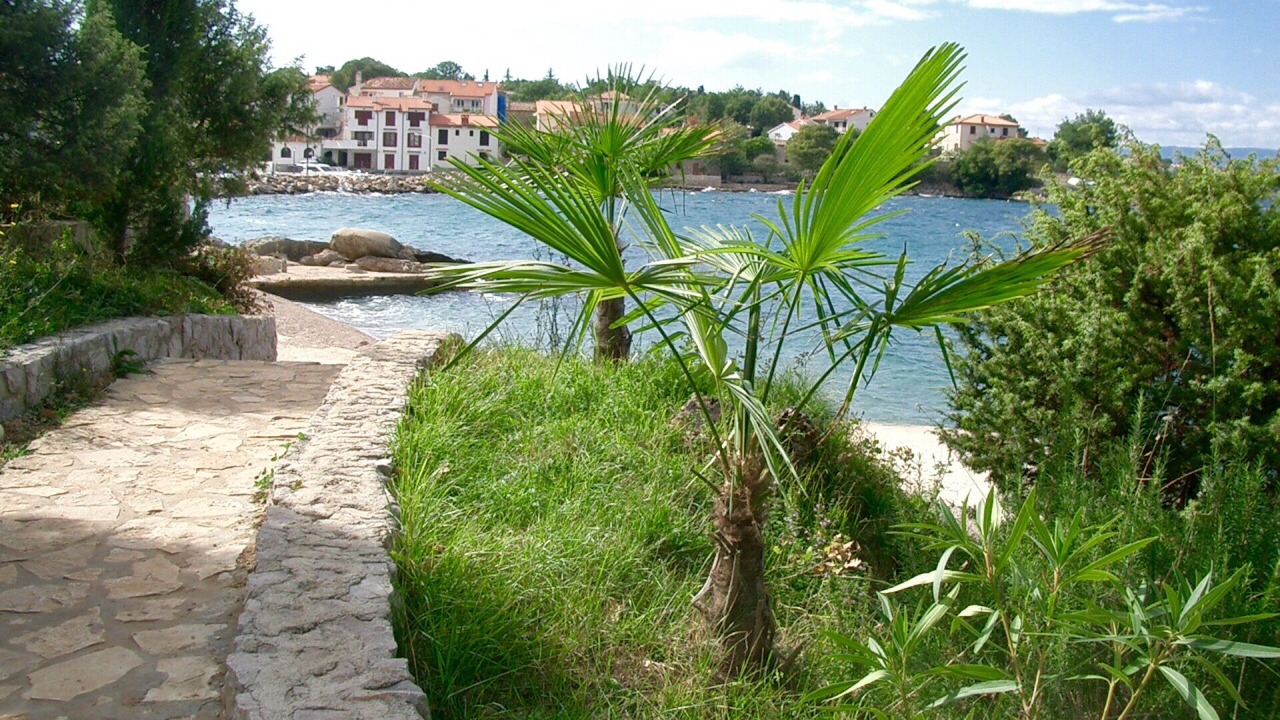 Photo of Outdoor in Vantacici