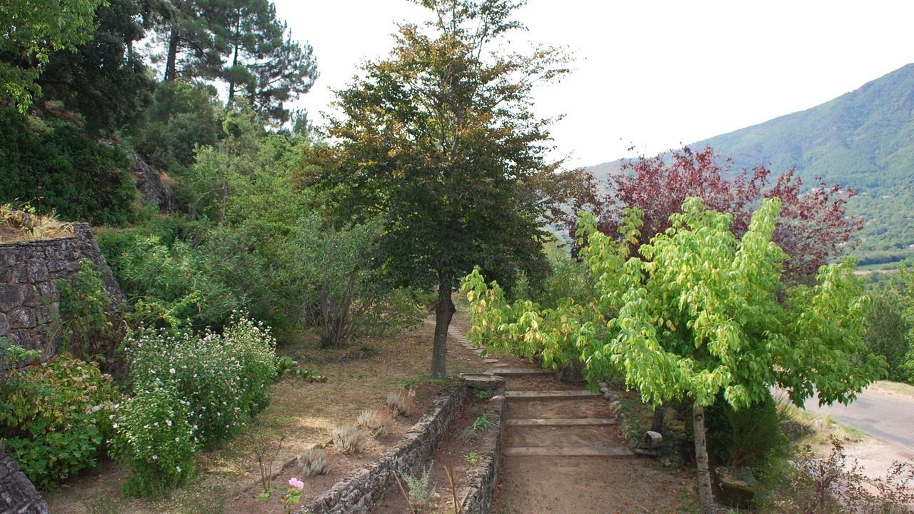 Photo of Outdoor in Les Salelles