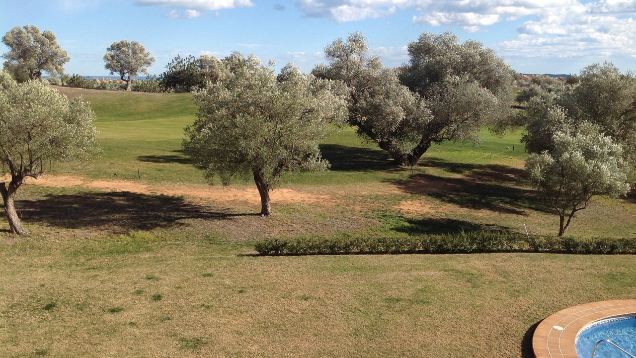 Photo of Outdoor in San Jorge