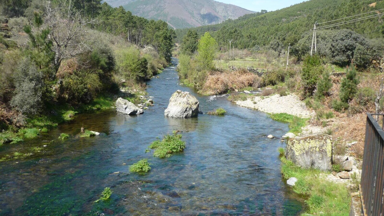 Photo of Outdoor in Pinofranqueado