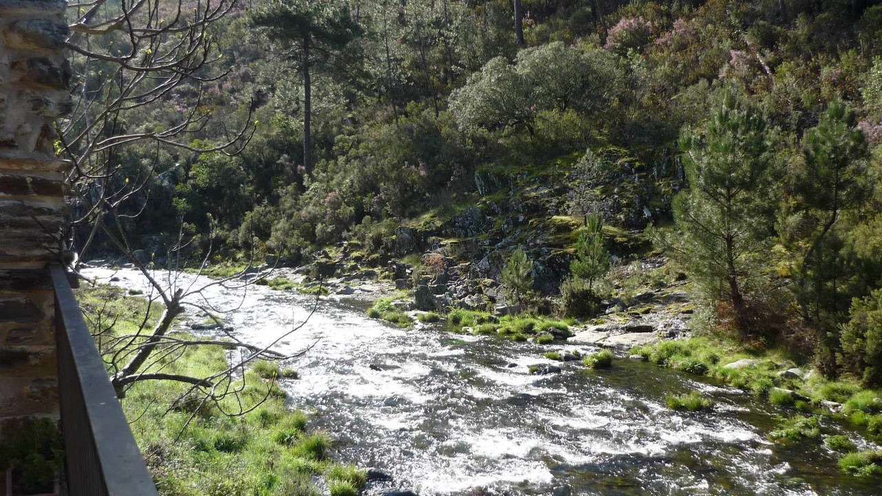Photo of Others in Pinofranqueado