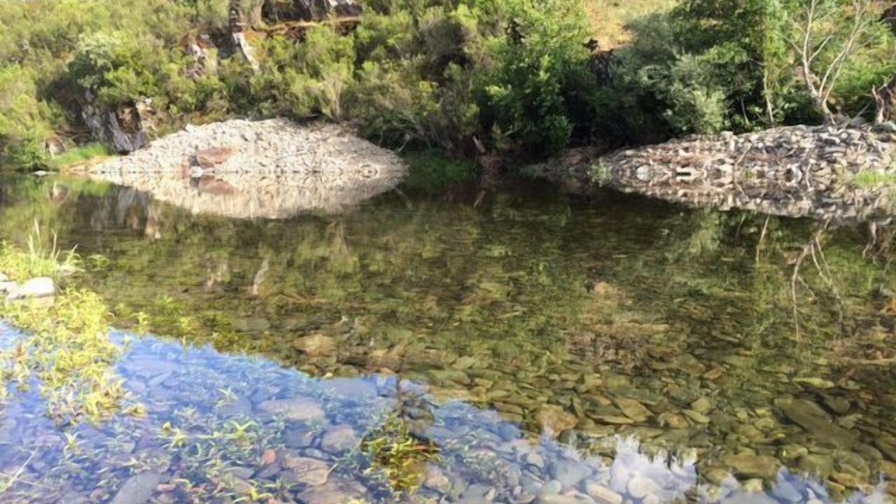 Photo of Outdoor in Pinofranqueado