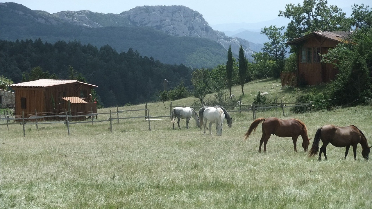 Photo of Outdoor in Cubieres-sur-Cinoble