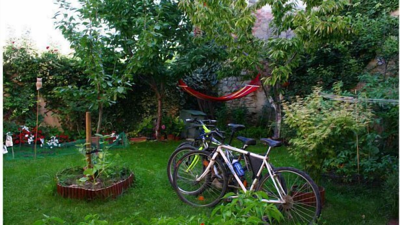 Photo of Outdoor in Miranda de Arga
