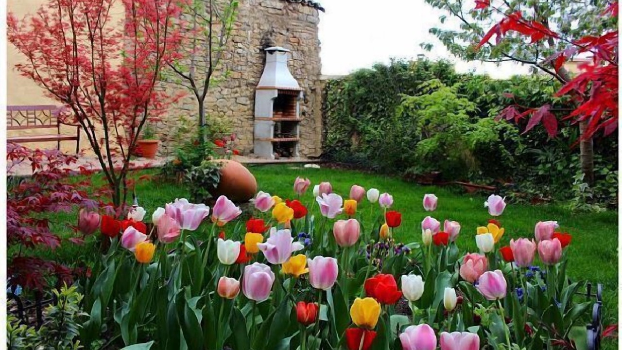 Photo of Outdoor in Miranda de Arga