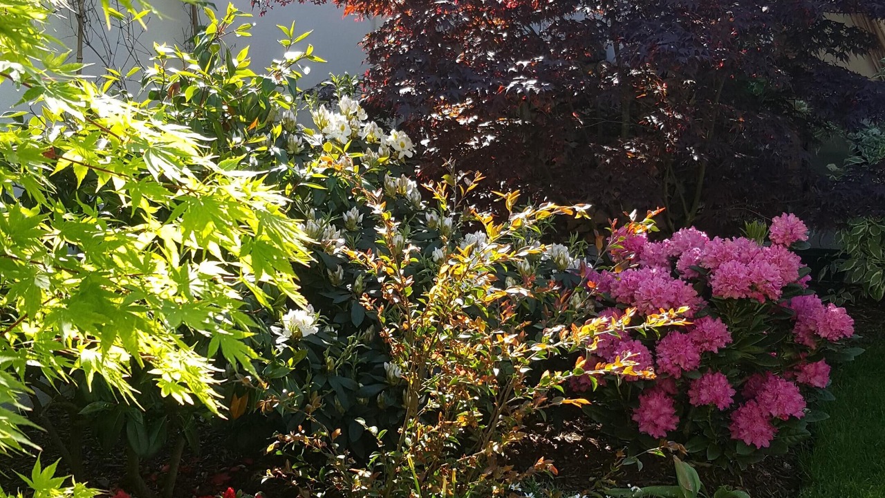 Photo of Outdoor in Velizy-Villacoublay