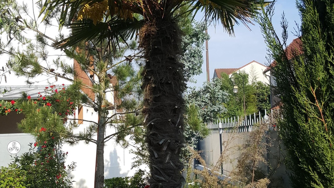 Photo of Outdoor in Velizy-Villacoublay