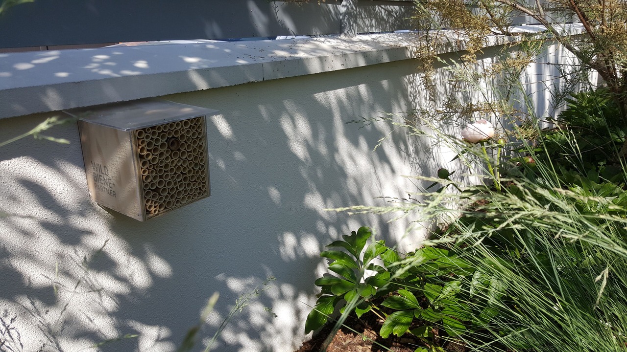 Photo of Outdoor in Velizy-Villacoublay