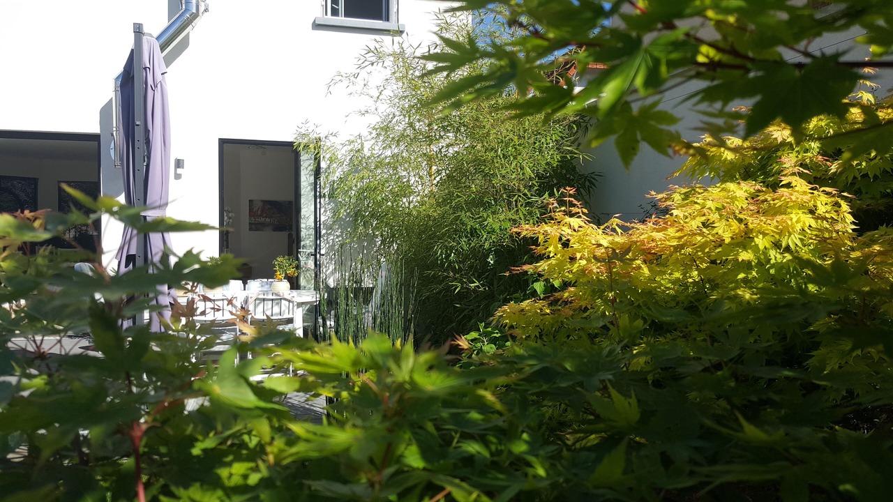 Photo of Outdoor in Velizy-Villacoublay