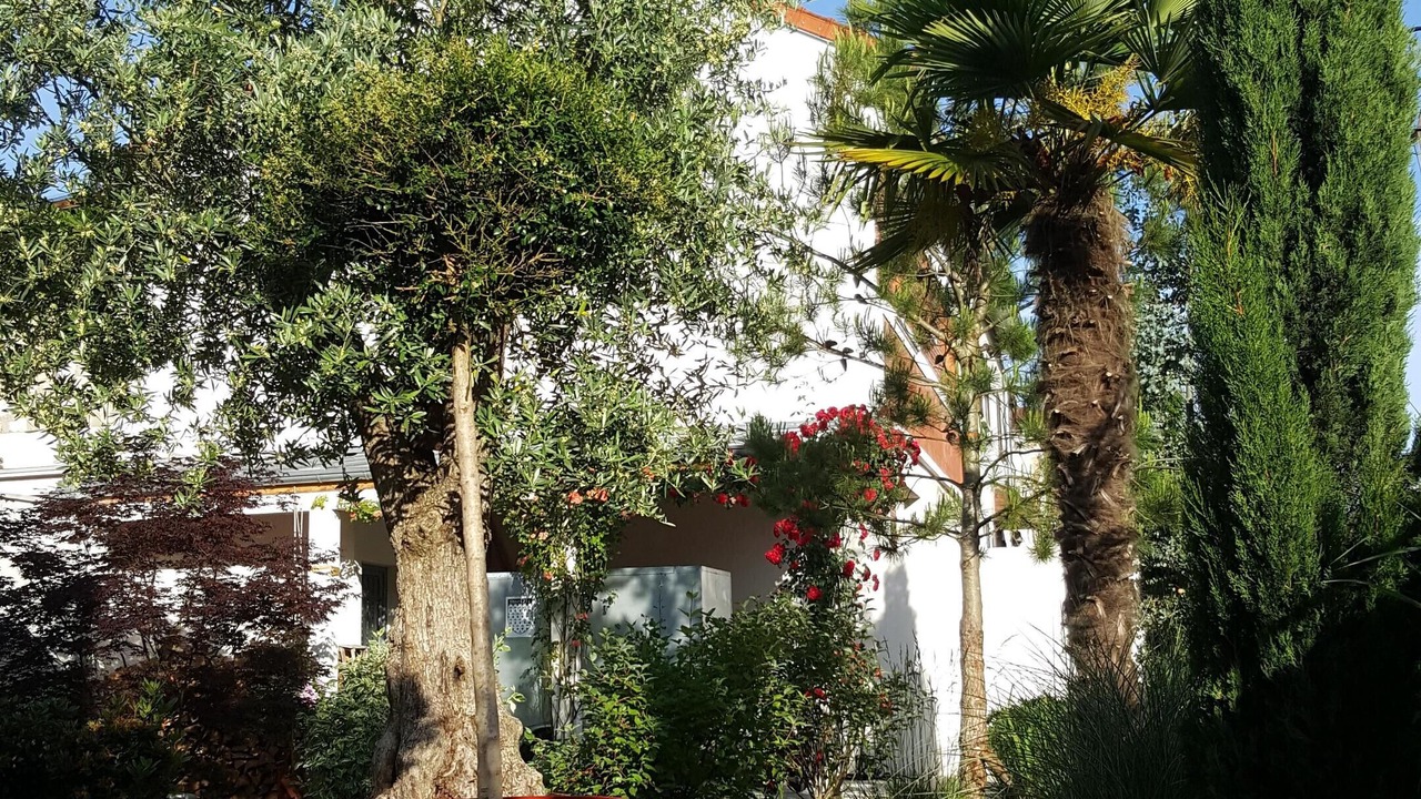 Photo of Outdoor in Velizy-Villacoublay