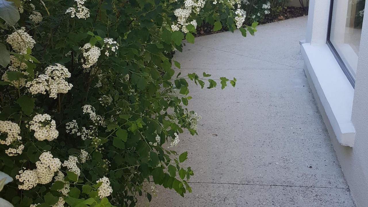 Photo of Outdoor in Velizy-Villacoublay