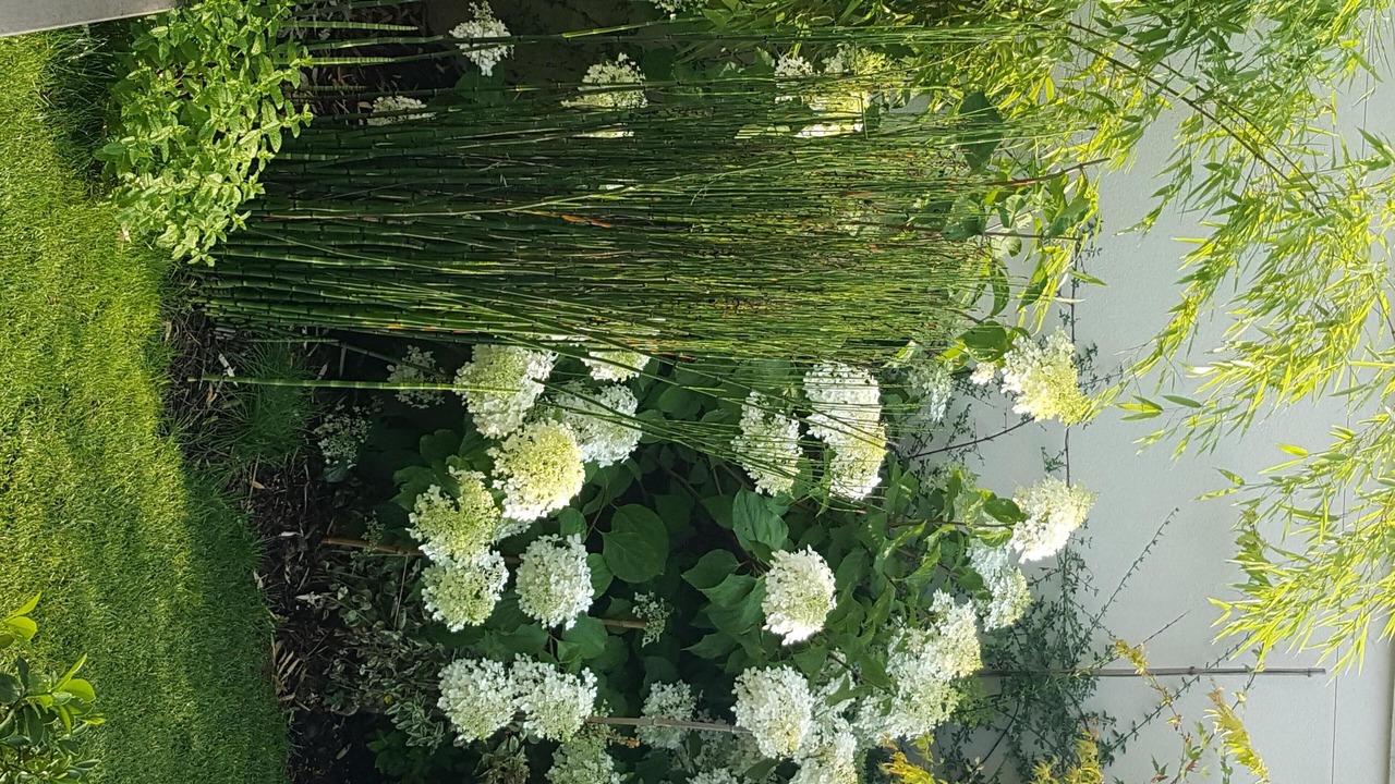 Photo of Others in Velizy-Villacoublay