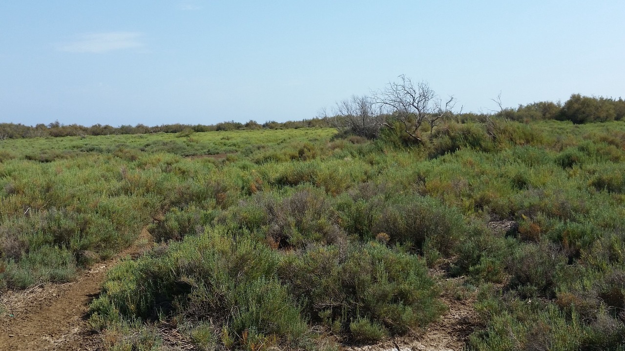 Photo of Outdoor in Les Cabanes de Fleury