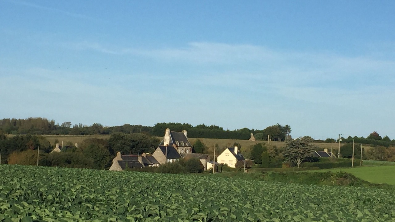 Photo of Outdoor in Saint-Coulomb