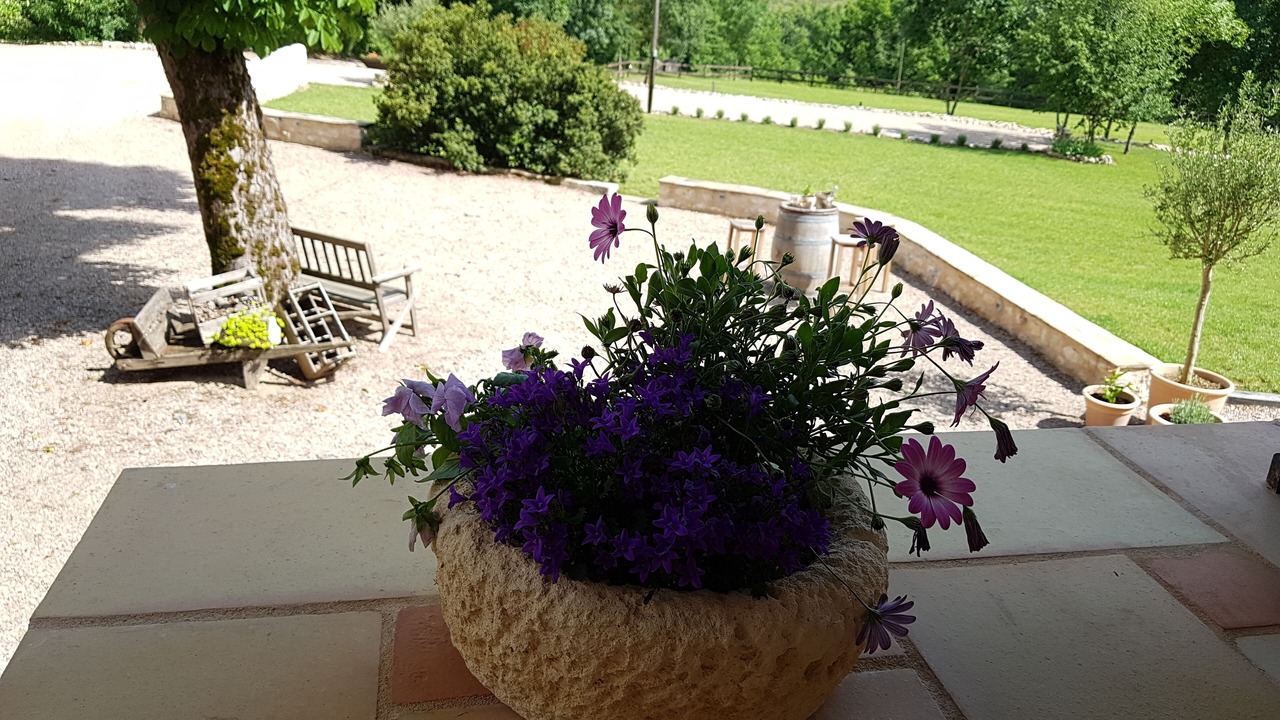 Photo of Outdoor in Andillac