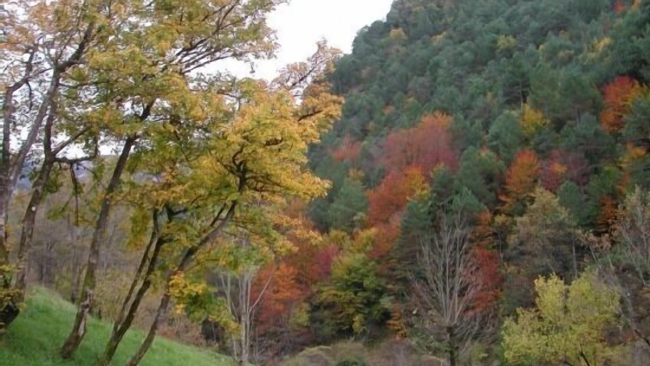 Photo of Outdoor in Badain