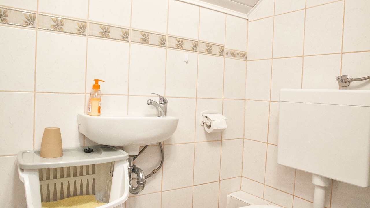 Photo of Bathroom in Donje Selo