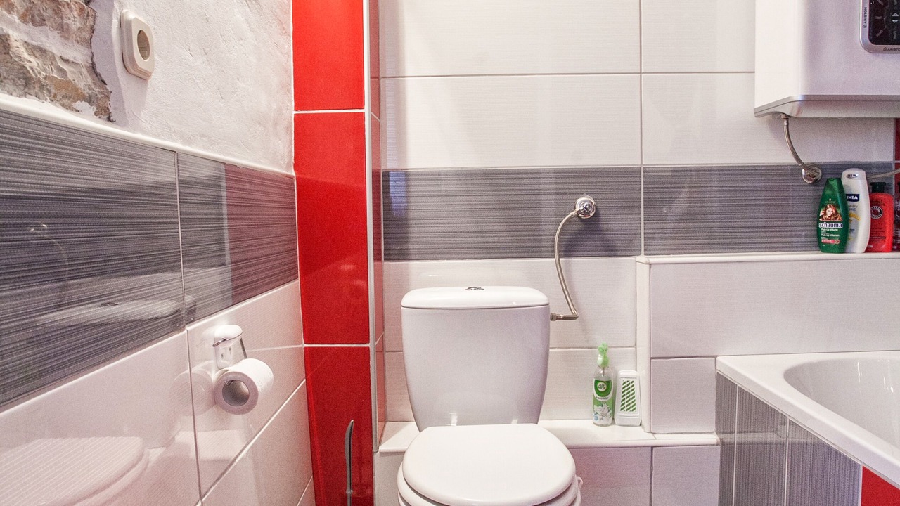 Photo of Bathroom in Donje Selo