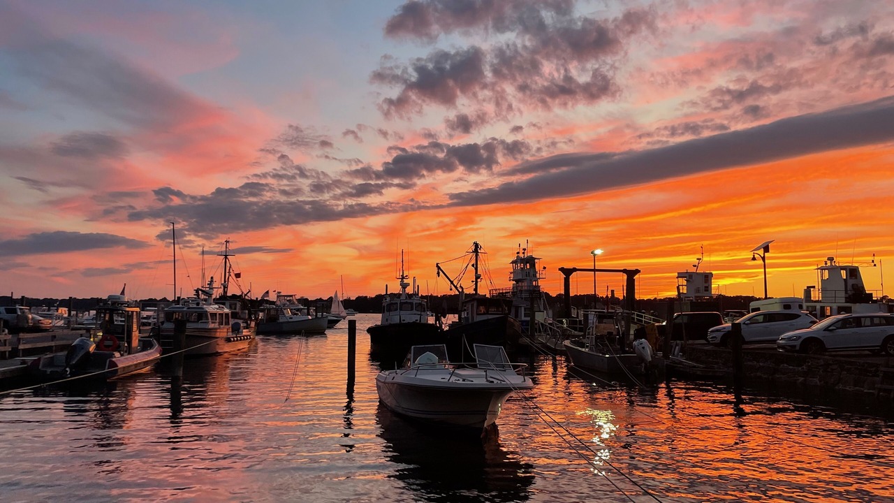 Photo of Others in Bristol