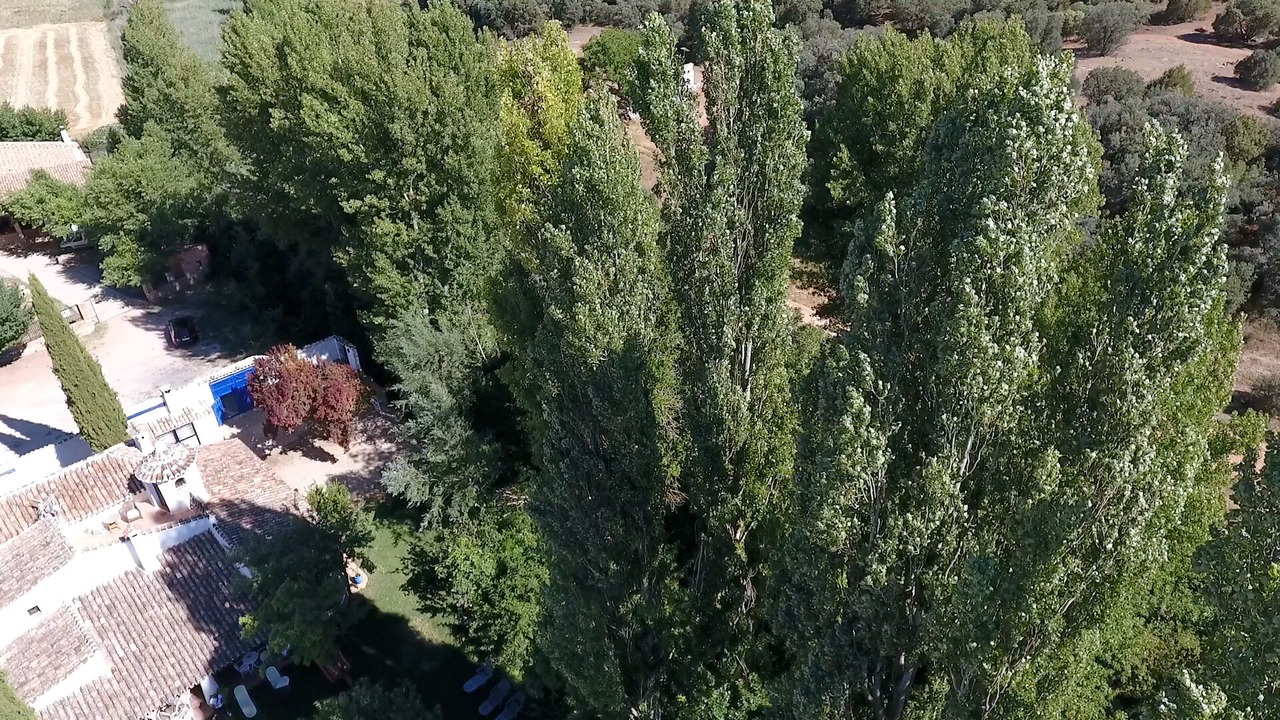 Photo of Outdoor in Ossa de Montiel