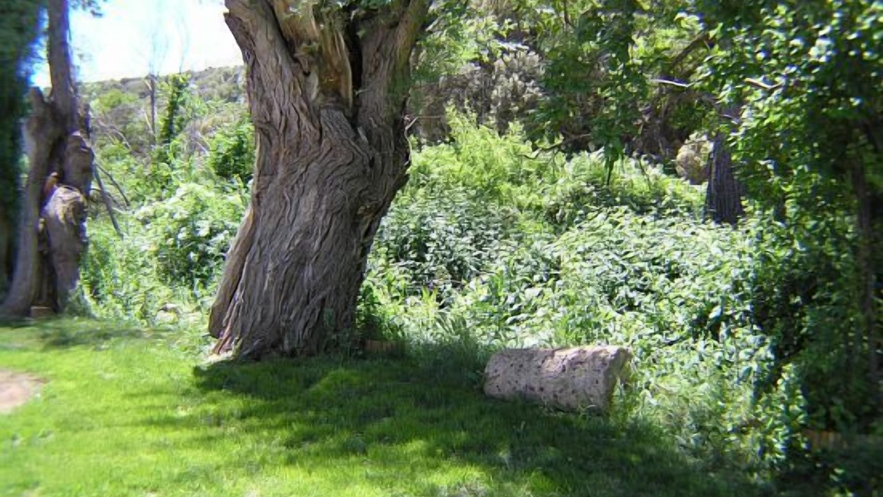 Photo of Outdoor in Ossa de Montiel
