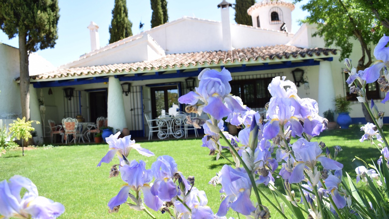 Photo of Outdoor in Ossa de Montiel