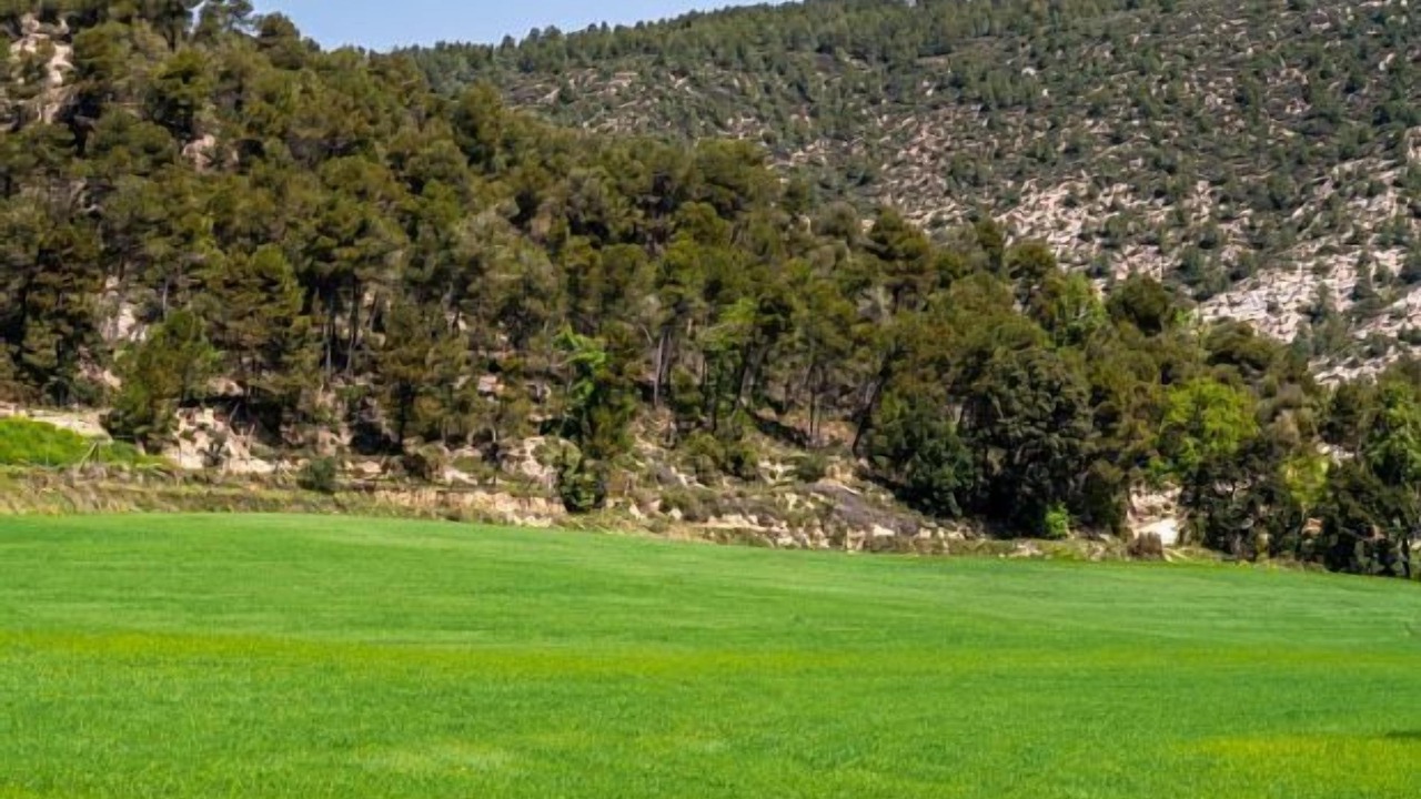 Photo of Others in Catalonian Pyrenees